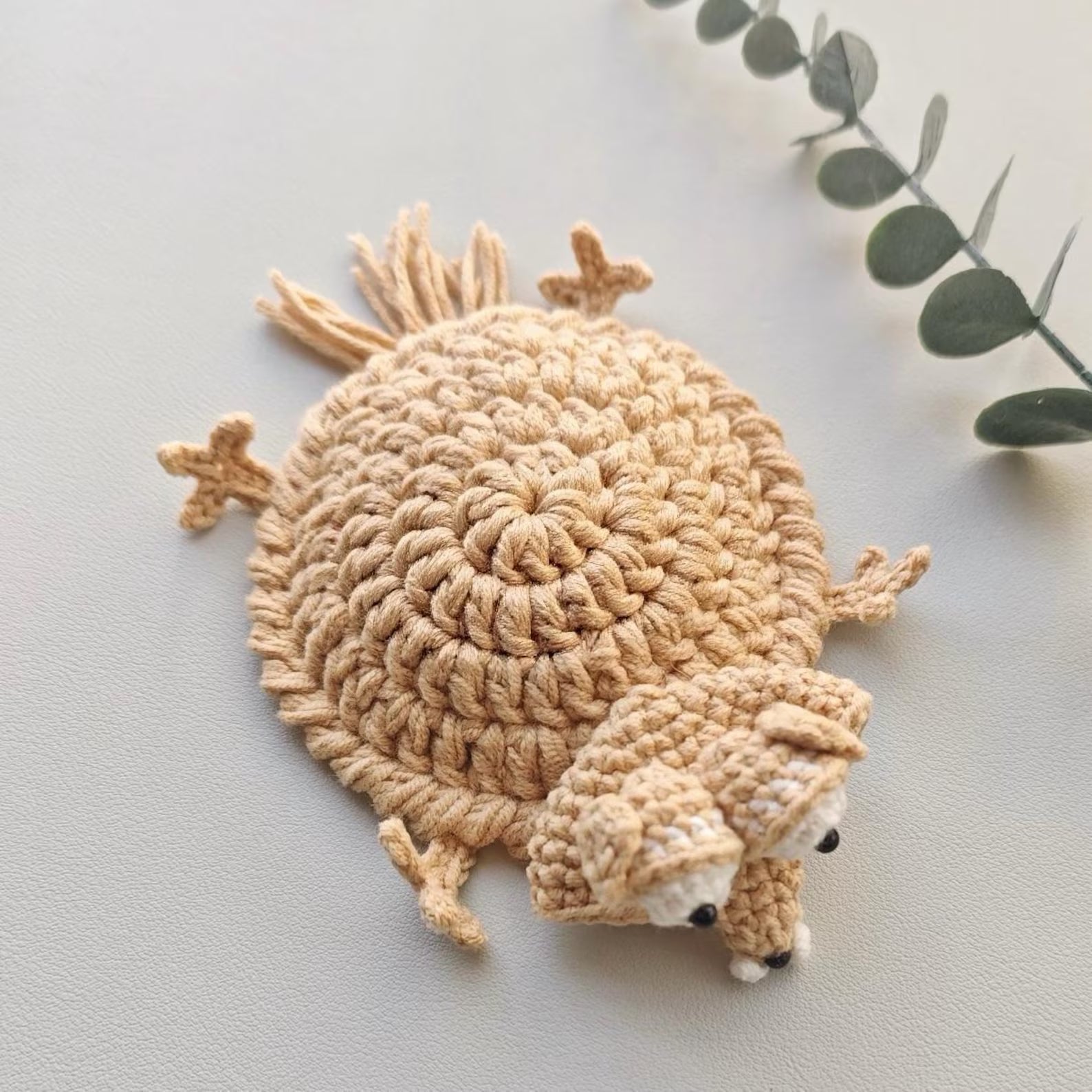 Squirrel Acorn Coaster Pattern pdf